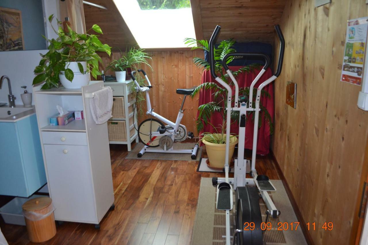 Chambre D'Hotes "Le Moulin" Thônes Екстериор снимка